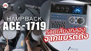 กลองไฟฟ้าม้ามืดของปี Hampback ACE-1719 กลองรุ่นเรือธงจาก Hampback