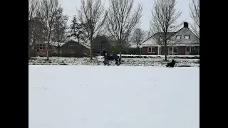 Coby in de sneeuw januari 2026