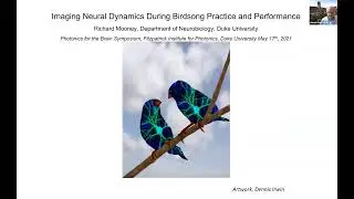 Richard Mooney - Imaging the Neural Dynamics Underlying Birdsong Practice and Performance