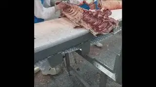 Transare vrabioara pe faze