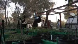 Israeli-german  youth cooperation for Urban Nature in Israel