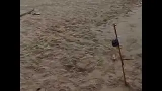 El primer pescado de mi nieto 