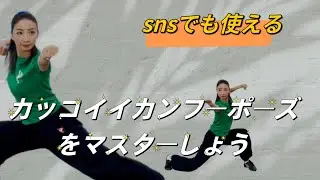 snsでも使えるカッコイイカンフーポーズをマスターしょう#武術　#カンフー　#カッコイイポーズ　#snsアップ　#陳静武術太極拳