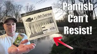 The Best Panfish Lure?!