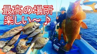 【和歌山】この釣りは釣れます高級魚狙い⁉️いろいろな魚をGETだぜ編‼️カワハギ釣りオモロー