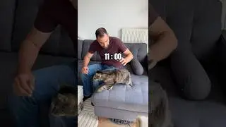 Les c&acirc;lins c&rsquo;est que quand il veut 😅