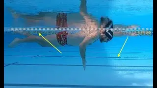 Freestyle Pull Mechanics - Video Analysis - Frontcrawl Technique