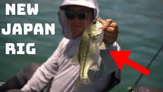 Using This Japanese Crankbait Trick Catches Tons Of Fish!