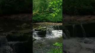 Dreamflow Music | Relaxing and Peaceful Soundscapes for Calm and Serenity#relaxingmusic