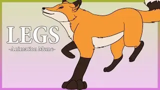 Legs -- Meme (Birthday Gift)