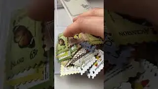 Organizing stationery after unboxing video 🤎