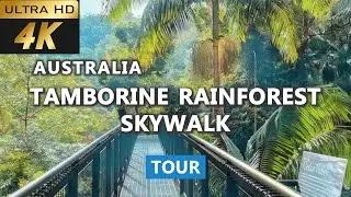 [4k] Tamborine Rainforest Skywalk Tour | Tamborine Skywalk | Gold Coast Hinterland