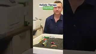 Transform Your Life: Exploring Holistic Therapy #holistic #therapy #mentalhealth