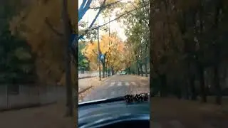 Автодрайв осенью.