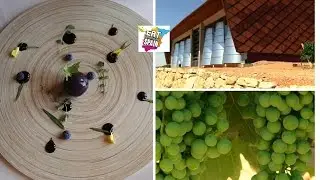 Ribera del Duero Tour  Short Breaks to Northern Spain