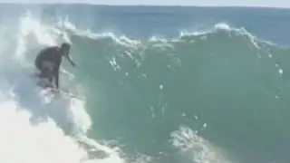 Ozzie Wright - Save the Big Fat Whales