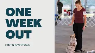 Dog Show Prep, What to Wear, Packing & More!