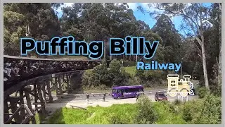 Top Rated Tourist Attractions in Melbourne, Australia: Puffing Billy Railway in 4K 澳洲墨爾本︰普芬比利蒸汽火車