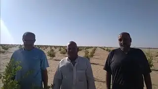 شاهد واتعرف على طبيعه ارض الريف المصري بالفرافرة ولقاءمع المزارعين٠١١٥٢٨٦٩٩٨١/٠١٠٦٥٧٤٤٤٩٢١ايمو.واتس