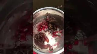 #pomegranate #dates #shake #pomegranatedatesshake#ramadanspecial #juicewrld #yummyshorts #