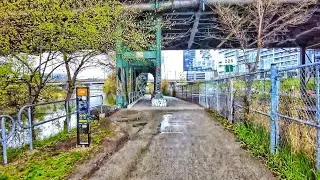 Toronto Walk - Lower Don River Trail