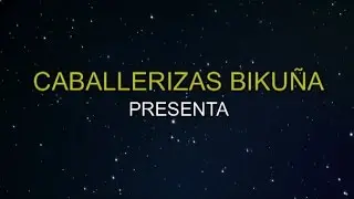 caballerizas bikuna: 20 años de campamentos