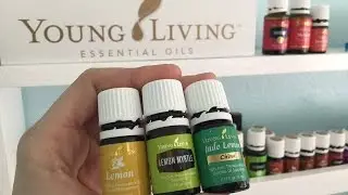 Lemon, Jade Lemon & Lemon Myrtle - What's the difference? - Elizabeth Medero - Young Living