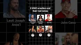 Top 6 WWE Wrestlers and Their Real Names. #shorts #wwe #wwefan #wwenews #wrestling #wwejohncena