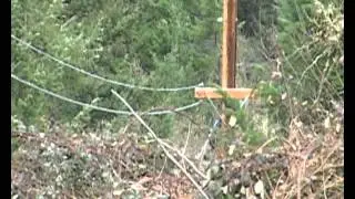 Hundreds Experience Phone and Internet Outage  - Mar 21st, 2013