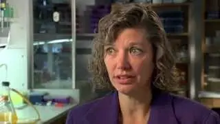 2010 Hackerman Award - Dr. Kim Orth