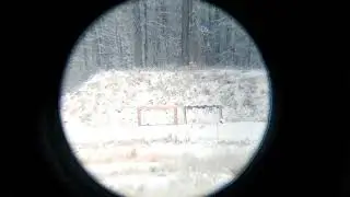 Remington 783 HB 308 at 800m