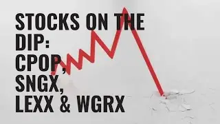 Проигравшие рынок: CPOP, SNGX, LEXX и WGRX
