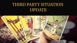 PICK A CARD: THIRD PARTY UPDATE!! YOU VS THE OTHER PARTY. TAROT TIMELESS READING.