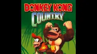 Donkey Kong Country: New Series. [Un-cut Version]