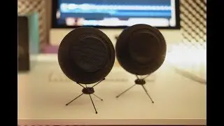Reckhorn S-150 - The Best Speakers for Under 30$?...
