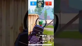 Pest peek