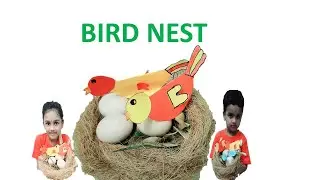 How to make Nest and Birds | coconut fiber nest | Paper Birds|origami|nest|bird @FelishJosh