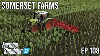 Where did all the sheep food go!! | Somerset Farms | Farming Simulator 22 - ep 108