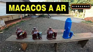 Macacos a Ar
