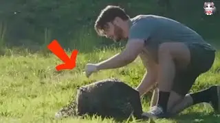 The Heroic Help of Ash the Wombat Amid Fiery Wildfires.