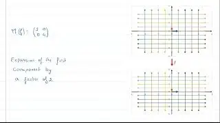 Linear maps - Kernel - Image of f - Rank theorem - deteminants - How do they look like?