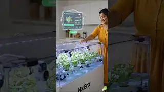 AI Farm Grows Perfect Butter Lettuce in Your Kitchen 🤖 #farming #shortvideo #shorts
