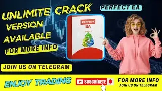 Perfect EA | Category : MQ4 | No DLL | Best Forex EA