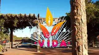 Vision for Dignity, Access, and Accountability (VIDA) in Healthcare