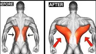 Ultimate Back Workout (GET WIDE!) #trending #viral #feed