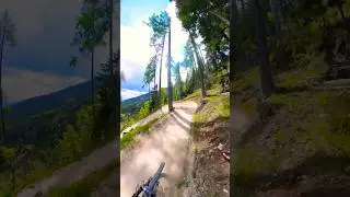 This flowtrail is just awesome! #flowtrail #downhill #bike #youtubeshorts #subscribe #trail