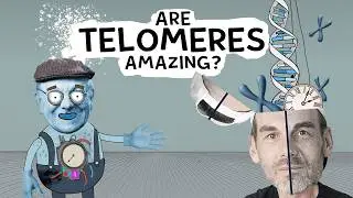 The Ticking Clock Inside Us | Telomeres Explained