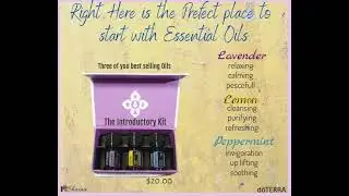 Essential Oils Introductory Kit