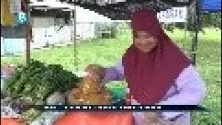 Harga durian merah ikon Kinabatangan meningkat