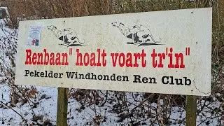 Pekelder Windhonden Renclub viert 100-jarig bestaan
